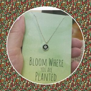 Nwt Zad necklace with card